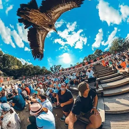 Le Nid Des Epesses Les Épesses