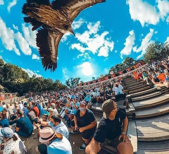 Le Nid Des Epesses Les Épesses